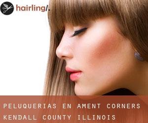 peluquerías en Ament Corners (Kendall County, Illinois)