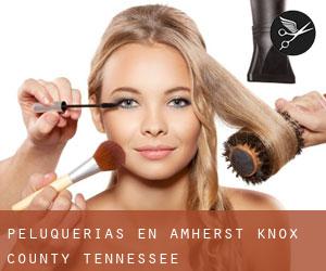 peluquerías en Amherst (Knox County, Tennessee)