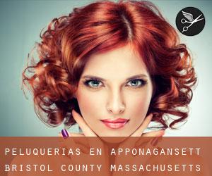 peluquerías en Apponagansett (Bristol County, Massachusetts)